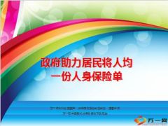 政府助力居民将人均一份人身保险单29页.ppt