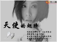 姚贝娜健康专题重疾保险23页.ppt