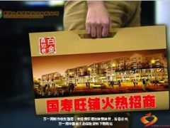 国寿鑫如意旺铺火热招商24页.ppt