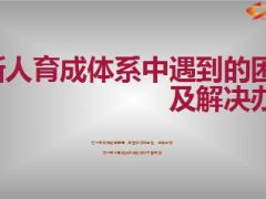 新人育成体系中遇到的困难及解决办法10页.ppt