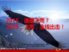 保险精英方案魔力瘦身内衣21页.ppt