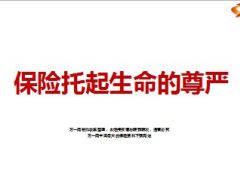 血癌患者做保险重生分享17页.ppt