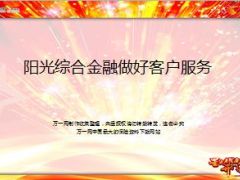 阳光综合金融做好客户服务11页.ppt