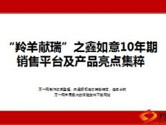 高端客户灵山跨年祈福活动国寿鑫如意15页.ppt