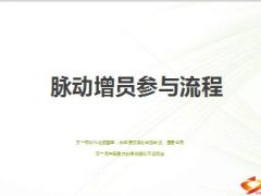 脉动增员参与流程15页.ppt