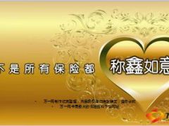 中国人寿鑫如意产品模压话术15页.ppt