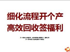 细化流程开个人产说会高效回收32页.ppt