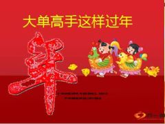 大单高手这样过年24页.ppt