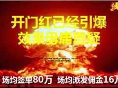 国寿金账户收益优越性风险隐患19页.ppt
