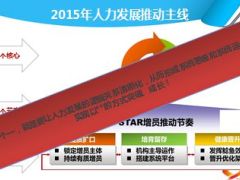 2015人力目标及STAR增员思考数据分析32页.ppt