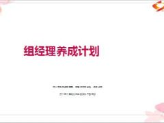 组经理养成计划具体实行注意事项88页.ppt