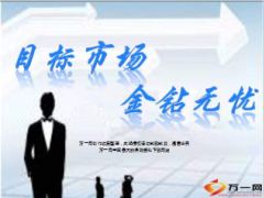 如何确定自己的目标市场深度挖掘19页.ppt
