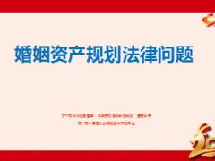 婚姻财产规划法律问题23页.ppt