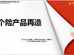 人民健康个险产品综述形象再造163页.ppt