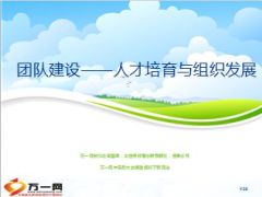 团队建设人才培育与组织发展57页.ppt