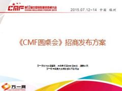 第十届中国保险精英圆桌大会招商方案31页.ppt