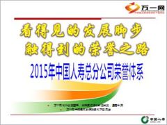 中国人寿2015年总分公司荣誉体系35页.ppt