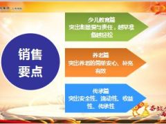 阳光开门红产品攻略解读富贵金喜财富至尊100页.ppt