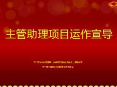 主管助理项目运作宣导17页.ppt