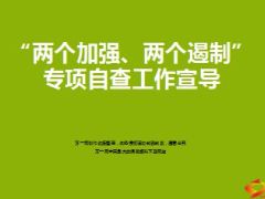 专项检查自查自纠工作宣导30页.ppt
