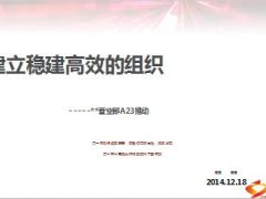 营业部建立稳建高效的组织分享60页.ppt