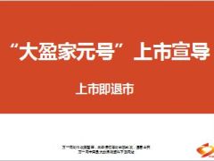合众人寿大盈家元号保险宣导片66页.ppt