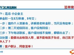 新华金彩一生开门红典范案例10页.ppt