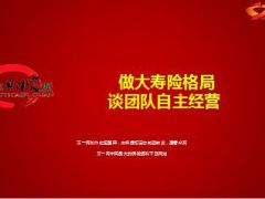 做大寿险格局谈团队自主经营42页.ppt