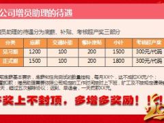 增员助理可行性分析工作模式考核38页.ppt