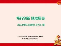 分公司精准增员2014年队伍建设工作汇报79页.ppt