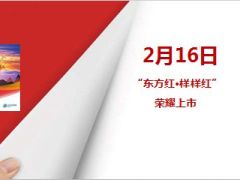 太平洋东方红样样红产品训练30页.ppt