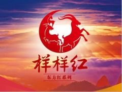 太平洋东方红样样红上市宣导市场篇产品篇升级篇65页.ppt
