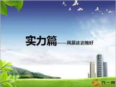 太平洋保险公司发展篇实力篇22页.ppt