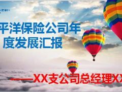 太平洋保险公司年度发展汇报19页.ppt