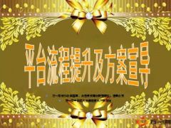 星级会员利益大派送平台流程提升及方案宣导20页.ppt