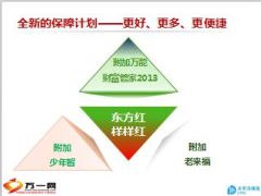 太平洋东方红样样红销售逻辑23页.ppt