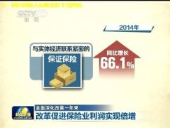 配套视频CCTV新闻联播改革促进保险业利润实现倍增.rar