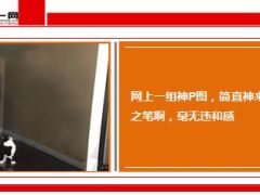 每日快乐早会15年3月2日使用14页.ppt