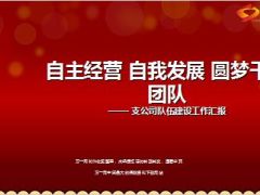支公司分享队伍建设工作汇报自主经营自主发展45页.ppt