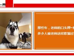 每日快乐早会15年3月3日使用14页.ppt