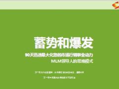 90天最大化您的市场行销事业动力39页.ppt