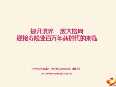迎接寿险业百万年薪时代的来临78页.ppt
