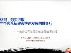 市分公司收展队伍发展情况介绍分享50页.ppt