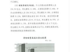 2014年湖南保险市场运行分析报告12页.rar