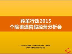2015个险渠道阶段经营分析会37页.ppt