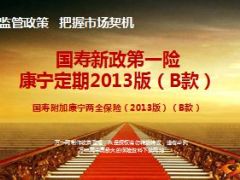 国寿康宁定期2013版B款月缴产品责任亮点定位32页.ppt