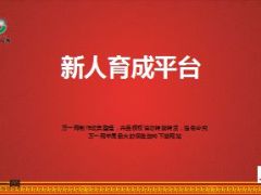 2015年新人育成平台国寿版37页.ppt