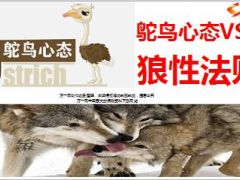 骆驼心态和良性法则16页.ppt