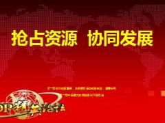 区域总监分享抢占资源协同发展61页.ppt