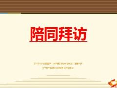 陪访概念模式流程35页.ppt